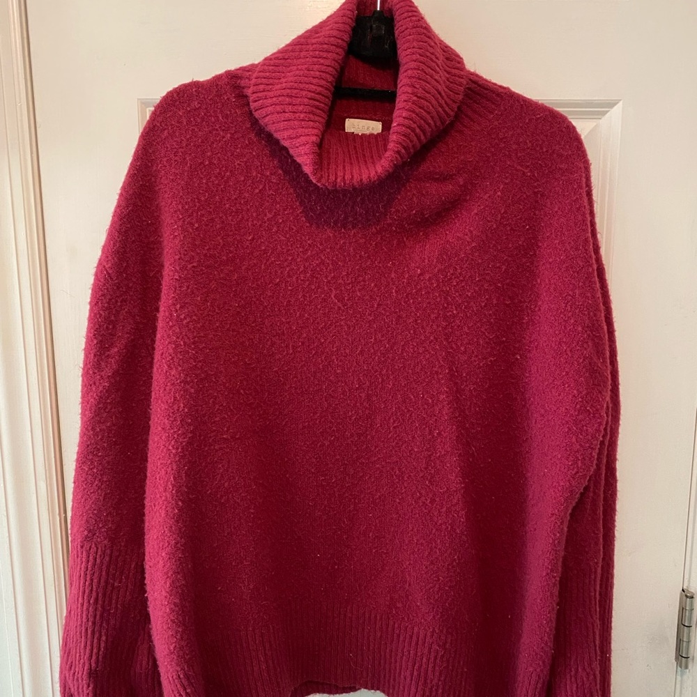 Hinge super soft turtleneck sweater.  Flowy fit.